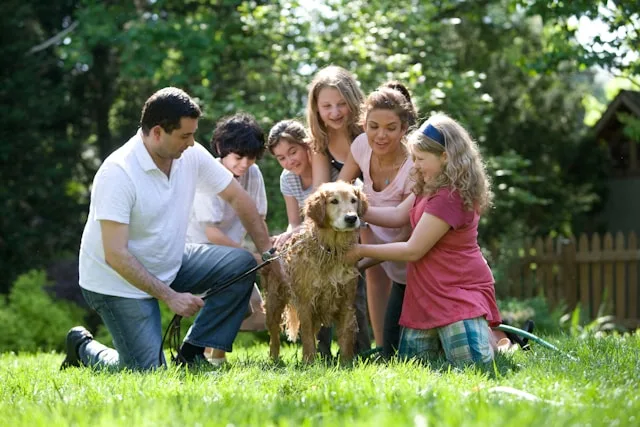 People reflecting on family relationships and emotional bonds within the family