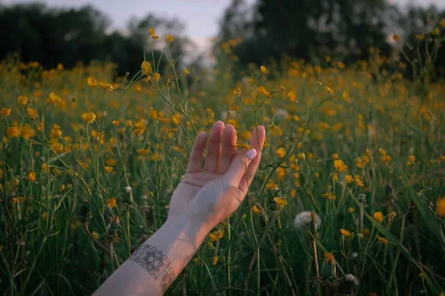 healing and letting go of emotional pain to move forward