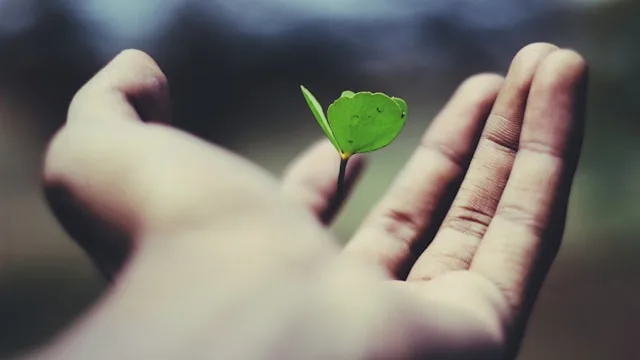 reflecting on the meaning of life and personal purpose